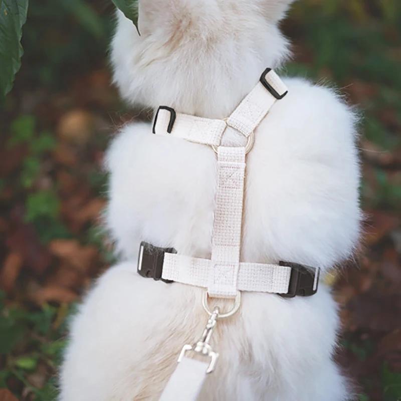 Classic Step-in Dog Harness and Leash Set-No Pull Pet Adjustable Halter Harness with Leash Easy Walk Running Training for Small Dogs&cat