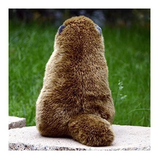 lilizzhoumax Realistic Groundhog Plush Super Soft Groundhog Stuffed Animal Toys for Girls Gifts for Kids Brown 9 inch