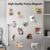 2/12 Pcs Funny Cat Fridge Magnets, Cute PVC Animal Refrigerator Magnet Set, Kitchen Home Decor Sticker, Easter Mother's Day Gift