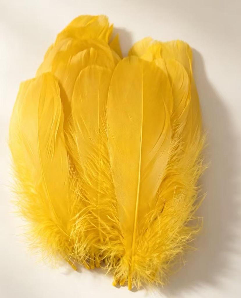 Large Soft Goose Feathers 14-18cm for DIY Dreamcatchers, Flowers & Crafts