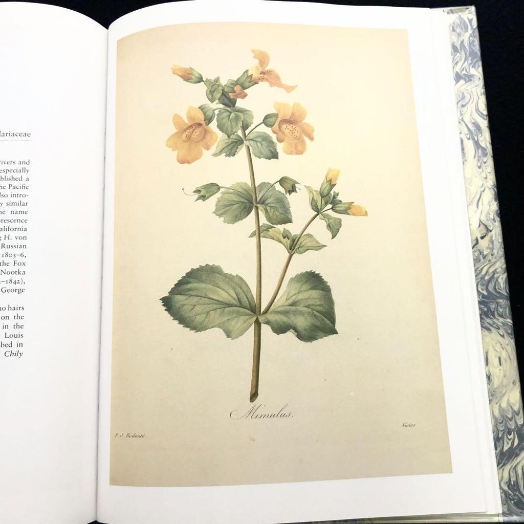 [USED] Pierre-Joseph Ledoute Art Collection "Fairest Flowers" 1987