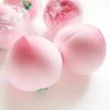 Toys Toys Pink Juicy Peach Squishy Toy Anti-Stress Slow Rising Fruit Pinch Squeeze Stress Reliever Fun Design Squeezable