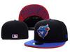 Toronto Blue Jays Embroidered Baseball Cap with Sun Protection