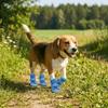 4Pcs/Set Non-Slip Summer Dog Shoes Adjustable Hollow Puppy Shoes Mesh Foot Covers  Outdoor Hiking