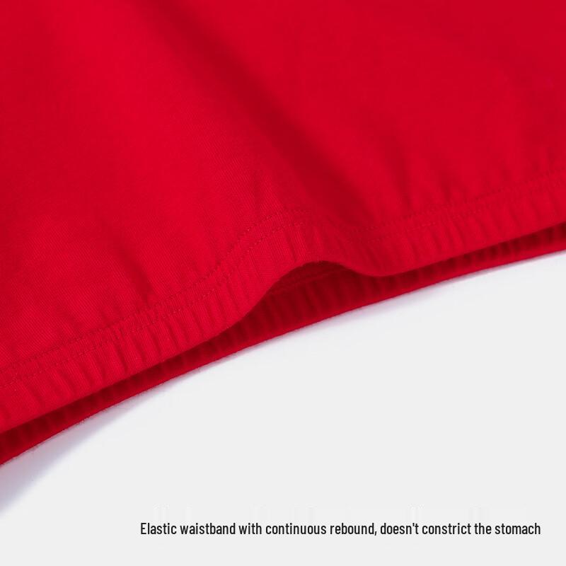 YUZHAOLIN Boys' 4-Pack Red Antibacterial Cotton Briefs