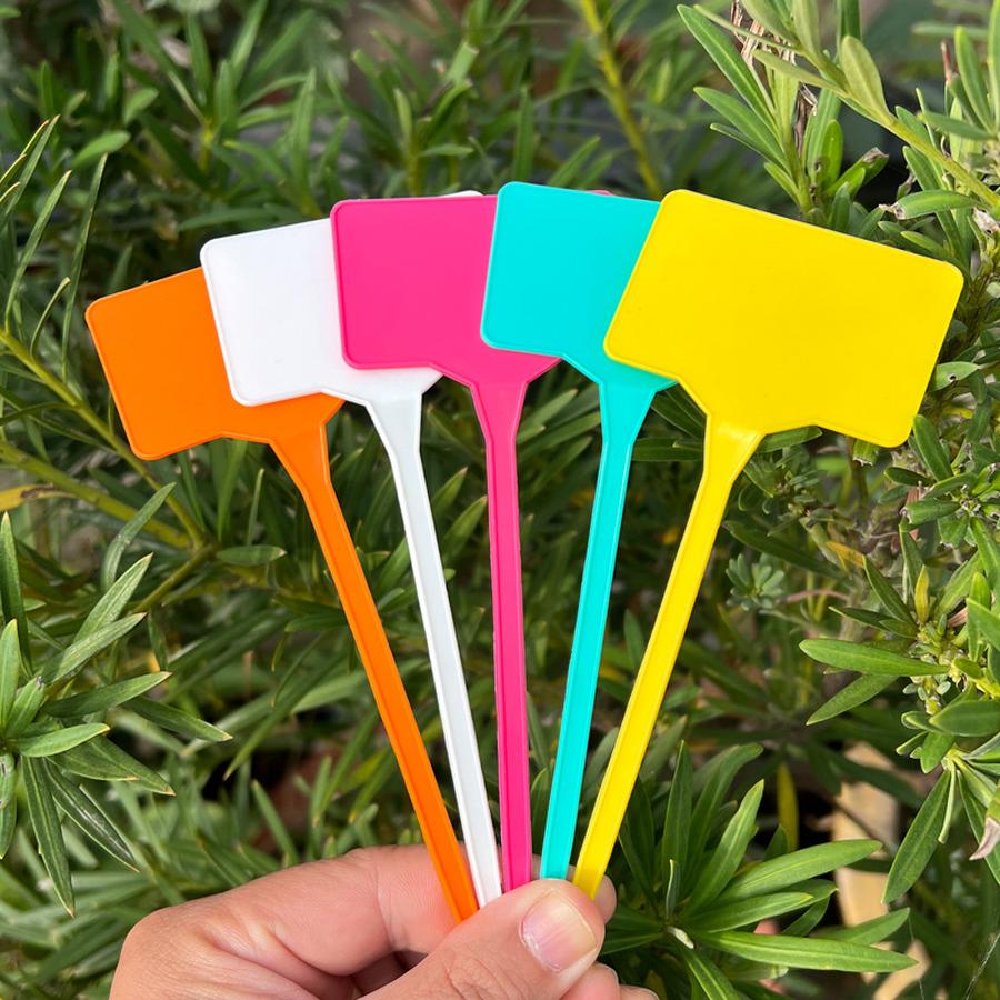 10 Stück Blumentopf Kunststoff Sukkulente Gartenmarkierer Pflanzenetikett Anhängeetikett