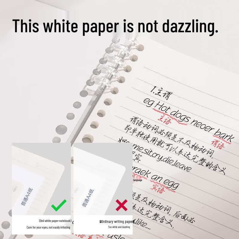 Deli B5 Loose-leaf Subject Notebook, 50 Sheets