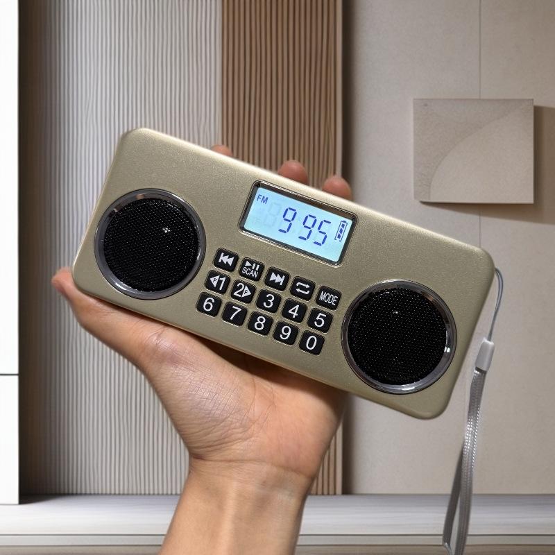 Portable Rechargeable Bluetooth Radio with Dual Speakers, Card Slot, FM Radio & Headphone Support for Seniors