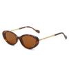 Women's European & American Minimalist Oval Sunglasses with Personality Chain