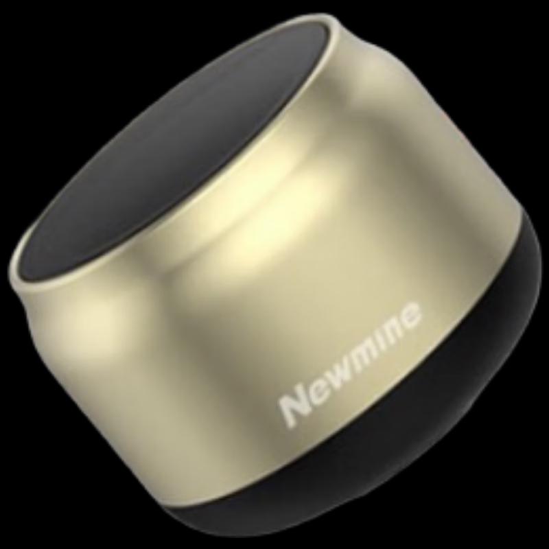 Newman BT31 Portable Bluetooth Speaker