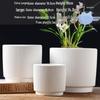 Elegant White Ceramic Flower Pot with Tray - Ideal for Ivy, Spider Plants, and Succulents