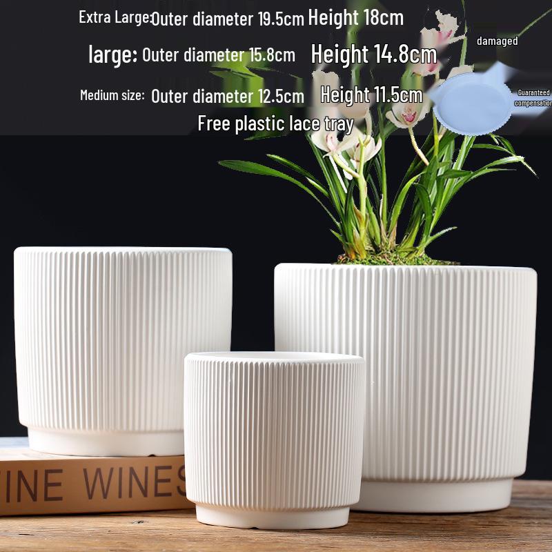Elegant White Ceramic Flower Pot with Tray - Ideal for Ivy, Spider Plants, and Succulents