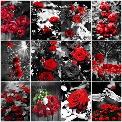 Diamond Painting Flower Rose Full Drill 5D Home Decor Diamond Embroidery Black Red Mosaic Wall Stickers