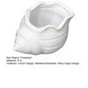 3D Printed Conch Flower Pot Moisture-Resistant Mini Planter with Wavy Edge And Drain