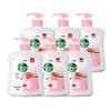 Dettol 99% Antibacterial Hand Wash