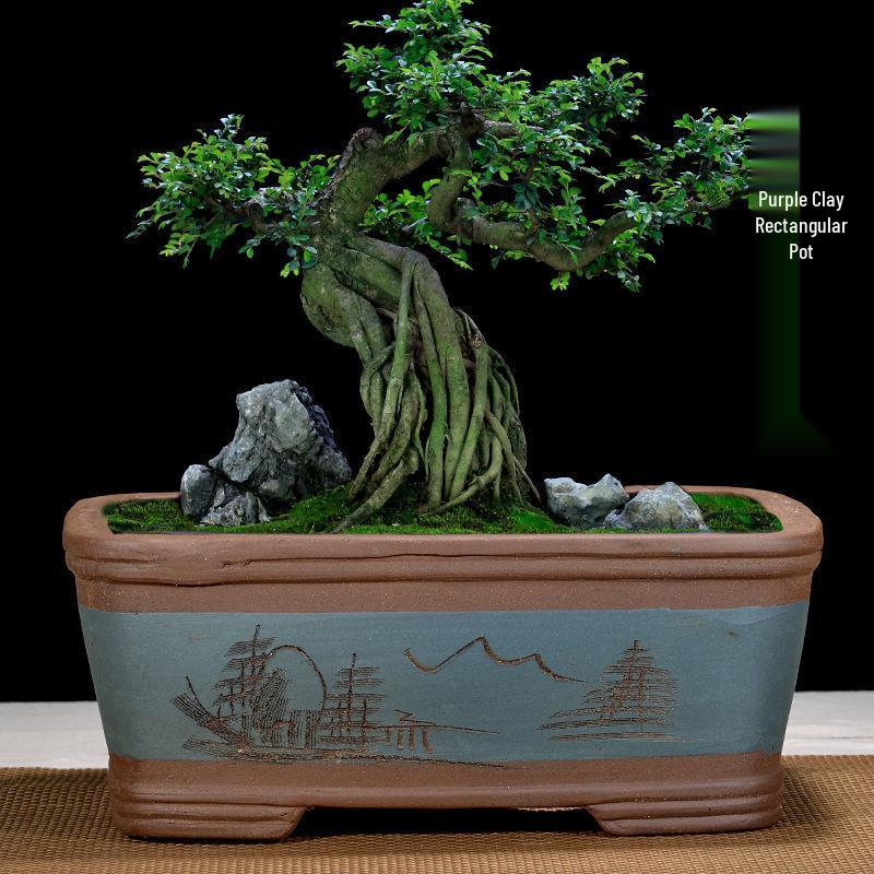 Extra-Large Breathable Purple Clay Square Bonsai Pot for Succulents and Green Plants