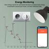 KT-PM09 APP/Voice Control Smart WiFi Plug 20A 4200W Wireless Home Outlet Socket with Power Monitor Function
