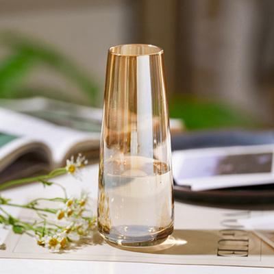 Vasi Fiori Trasparenti per Centrotavola Decorazione Interna Casa Scrivania Vaso Decorativo in Vetro Moderno per Matrimonio Festa Regalo Inaugurazione Casa