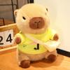 Sweater Capybara Doll Clothes Cartoon Doll Accessories New Capybara Plush Doll  for Birthday Gift
