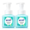 Blue Moon Fresh Fruit Mint Foaming Antibacterial Hand Soap 2-Pack