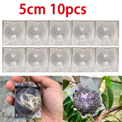 5cm 10pcs Plant Tree Rooting Ball Rooter Box Plastic Case Transparent Flower Grafting Growing High-pressure Breeding