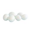 6 Pcs White Solid Plastic Pigeon Eggs Dummy Eggs Improve Laying Survival Rate