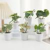 Green Green Plant Potted Greenery Desktop Ornament High Quality Artificial Grass Bonsai  Windowsill
