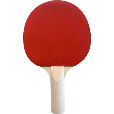Detská mini stolnotenisová raketa Decathlon