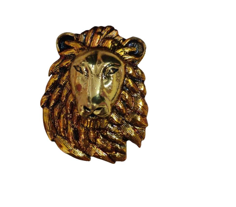 @ Stylish Face Shaped Brooch Pin & Golden Color For Men MA-69-60%Off