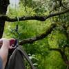 Portable Aluminum Alloy Multi-functional Climbing Keychain Buckle