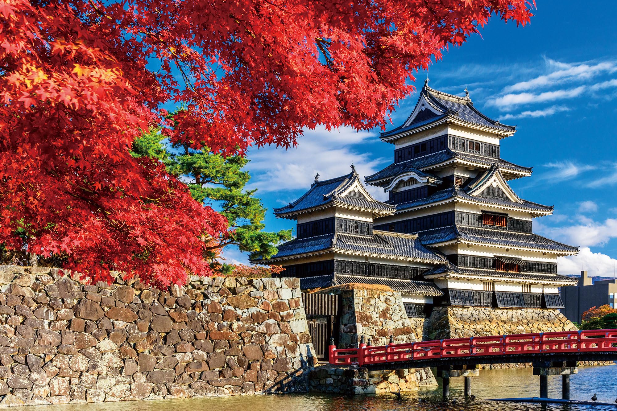 

Yanoman in Jigsaw Matsumoto Castle in Autumn Includes Piece Request Service and Jigsaw Puzzle Instructions (Yanoman) [Made Japan] 1000-Piece Puzzle