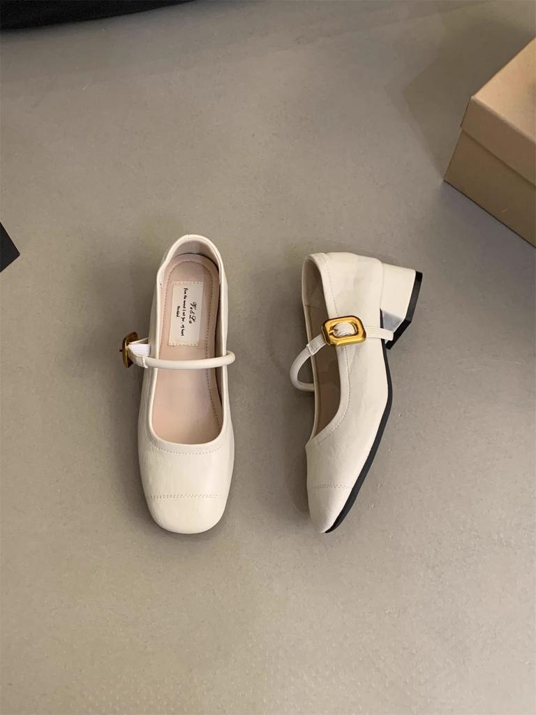 French evening breeze light mouth single shoes women's thick heel 2025 spring new Korean version small leather shoes retro middle heel Mary Jane shoes