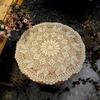 60cm Vintage Handgemaakte Haakwerk Kant Tafelkleed Katoenen Bankhoes En Onderzetters Set Shabby Chic