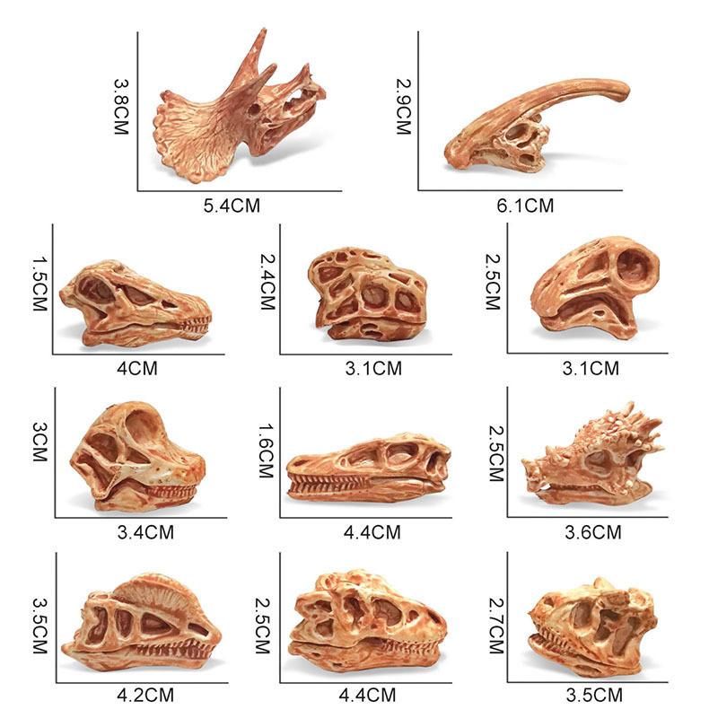 Realistic Jurassic Dinosaur Skull Model Toy For Kids Educational Archaeology Fun