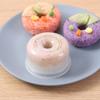 Kitchen Clear Rice Balls Press Mold Round Doughnuts Rice Balls Mold Sushis Maker Rice Balls Mold DIY Craft Baking Tool