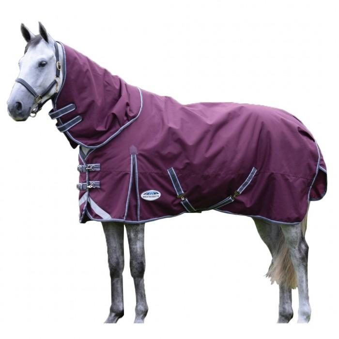 Comparer les prix de Weatherbeeta Comfitec Plus Dynamic II Detachable Neck Lightweight Horse Turnout Rug