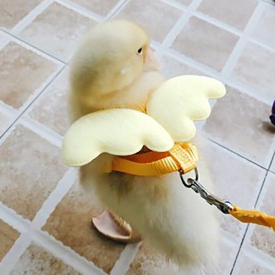 Wing Design Duck Harness Flexible Buckle Solid Color Long Rope Duck Harness for Animal