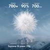 BOSIDENG B250242216 Hooded Loose Fit Goose Down Jacket