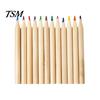 Colored Lead Set 12PCS Pencils for Kids, Bright Drawing Pencils, Art Creative Painting Creation Smooth Wooden Coloring Book And School Supplies Short