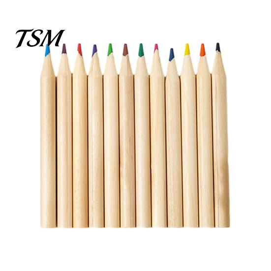 Colored Lead Set 12PCS Pencils for Kids, Bright Drawing Pencils, Art Creative Painting Creation Smooth Wooden Coloring Book And School Supplies Short