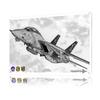 F Tomcat VF Tinplate Poster Customized Wall Art Retro Vintage Metal Signs for Fans Decoration Home Decorations Office Decor
