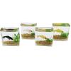 Mini Square/Round Fish Tank Realistic Glass Decor for Dollhouse Display Captivating Miniature for DIY Crafts Ornaments