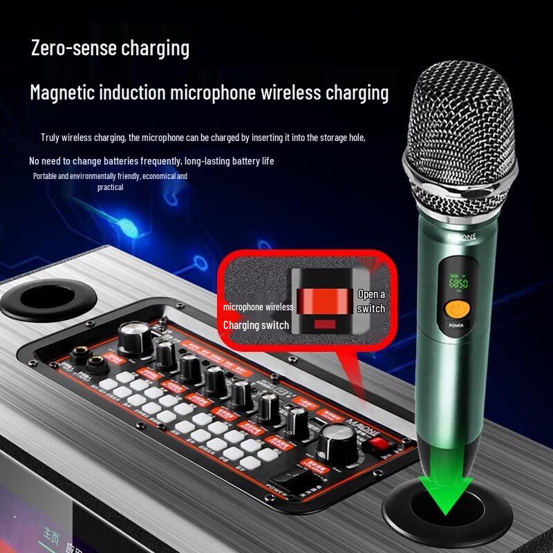 MALONE KT-112 Portable KTV System with 18.5-inch Display