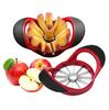 Stainless Steel Apple Slicer & Divider 