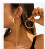 Retro High-End Titanium Steel Circle Earrings - Versatile European and American Fashion Jewelry for Women