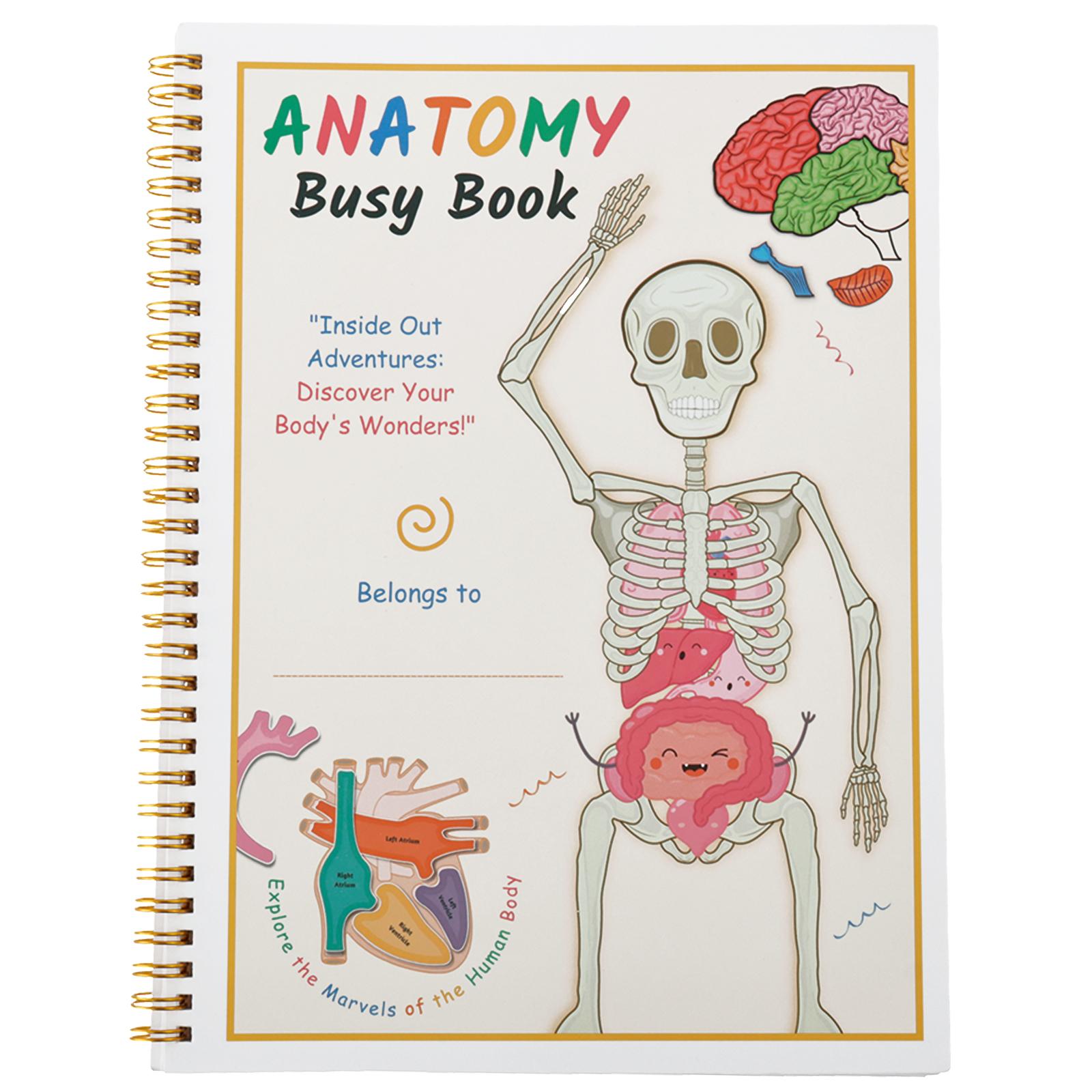 Human Anatomy Quiet Book Human Organ Match Quiet Book Preschool Interactive Anatomy Quiet Book for Kids Educational Multipurpose