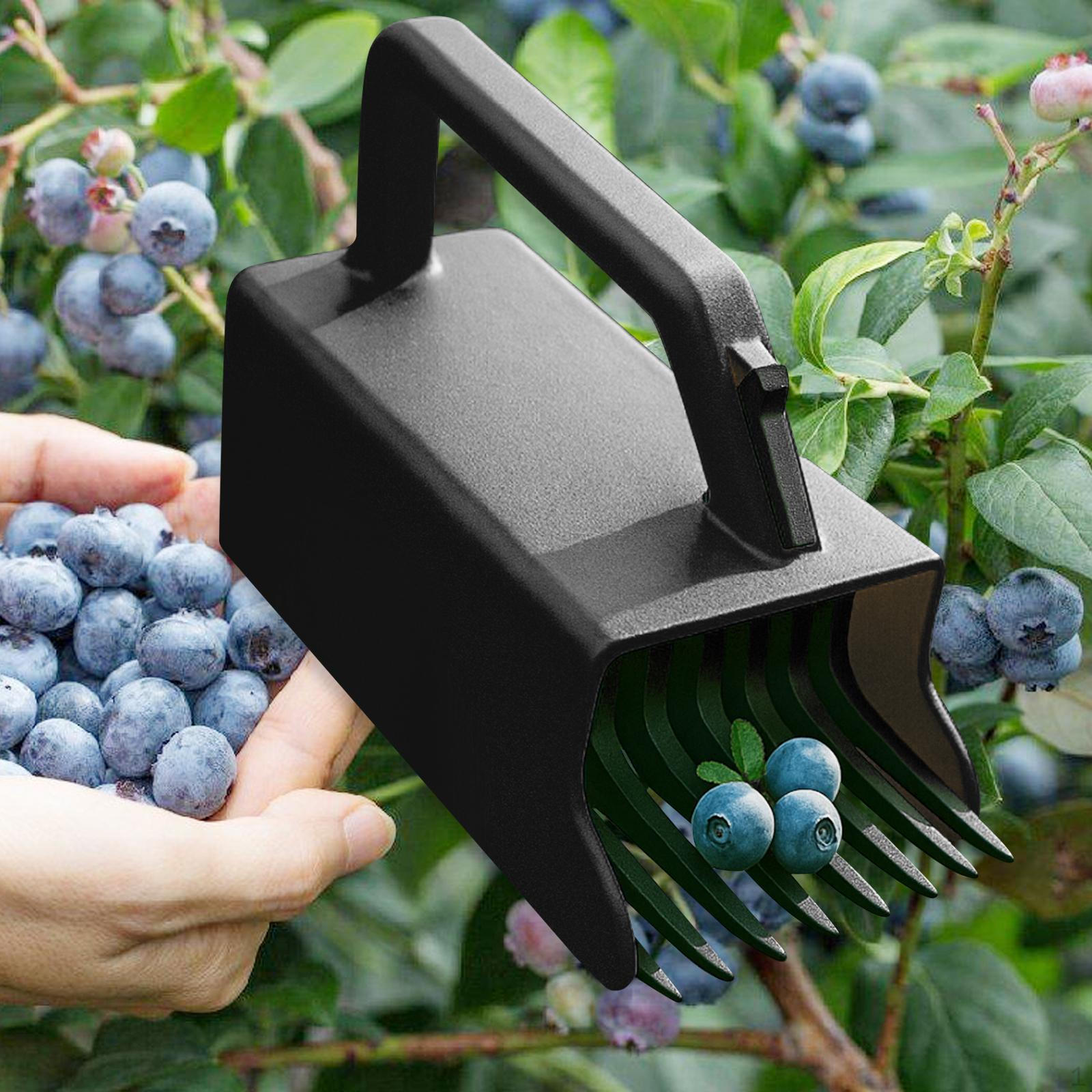 

Инструмент для сбора ягод с ручкой и гребенкой для черники