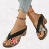 Fashion Ladies Shoes 2025 New Pinch Toe Slippers Women Fashion Color Matching Summer Outdoor Casual Flip Flops Plus Size Heeled Sandals