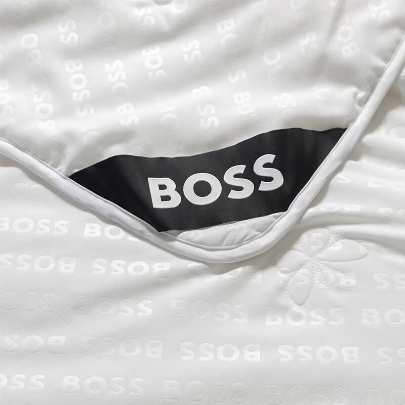 BOSS Mulberry Silk Antibacterial Fiber Duvet