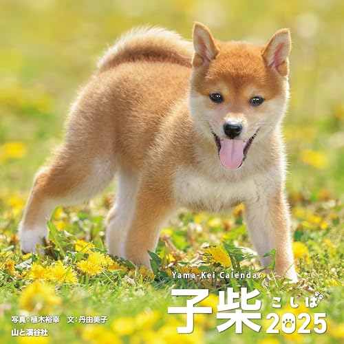 

Calendar 2025 Koshiba Koshiba (Month flip/Desk/Ring) (Yamakei Calendar 2025)